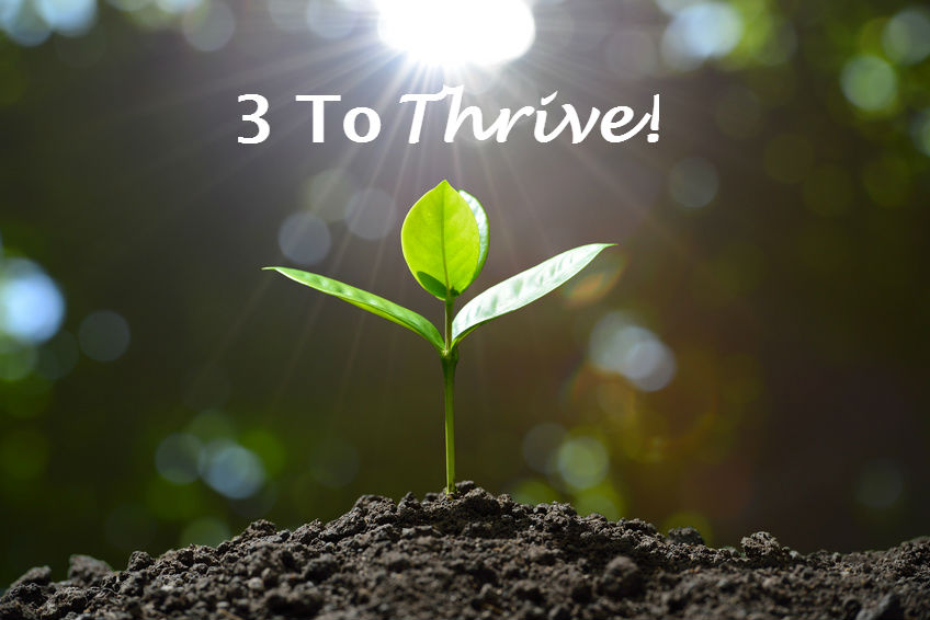 3 To Thrive: Top Resources To Help You Work With Meaning & Live With ...