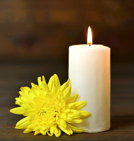 Candle Flower cropped