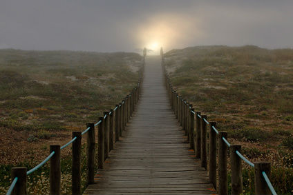 Bridge Path Field Sunrise