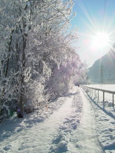 gehweg im winter 3