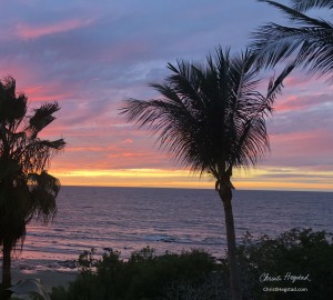 Sunset Mexico Sky Ocean Palm Tree