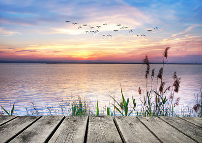 Dock Lake Sunrise Birds Sky Sunset